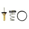 FISPA 94.787 Thermostat, coolant